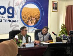 Wadirut Nilai Pengadaan Domestik Beras-Jagung di Bulog Sulteng Cukup Baik