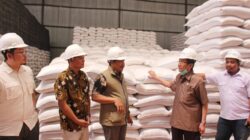 Longki Pastikan Stok Beras Aman, Serapan Panen Petani Lancar