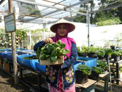 Dari Kartini untuk Bumi: BRI Berdayakan Perempuan Lewat Urban Farming Program BRInita