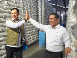 BULOG Bikin Rekor Bersejarah! Stok Beras Tembus 5 Juta Ton, Segini Sumbangsih Sulteng