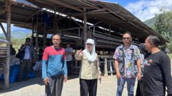 Pemkot Palu Petakan Tata Ruang Sentra Ayam Petelur di Pengawu