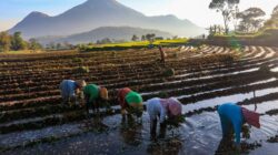 Dorong Ekonomi Hijau dan Inklusif, BRI Perkuat Pertumbuhan Berkelanjutan