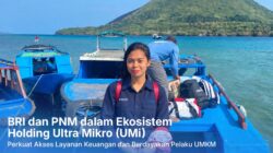 Menyeberang Laut dari Ambon ke Banda Neira, Kisah Vio Menjangkau Nasabah Ultra Mikro dari Rumah ke Rumah