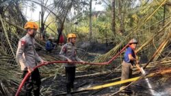 Personel SAR Brimob Padamkan Kebakaran Lahan Susulan di Kayumalue Ngapa